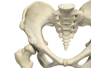 Developmental Dysplasia