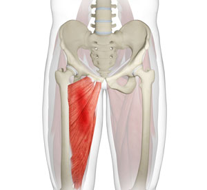 Groin Strain