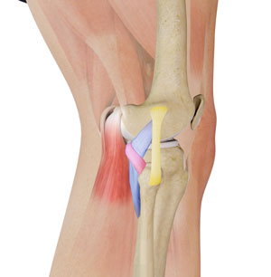 Knee Common Image